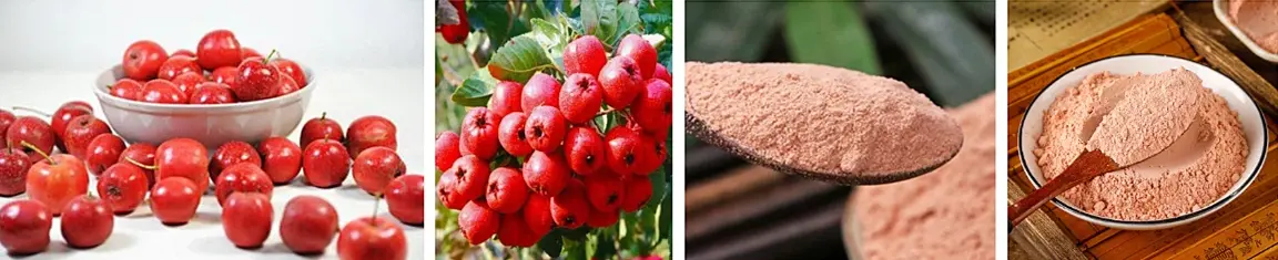 hawthorn fruit powder.webp